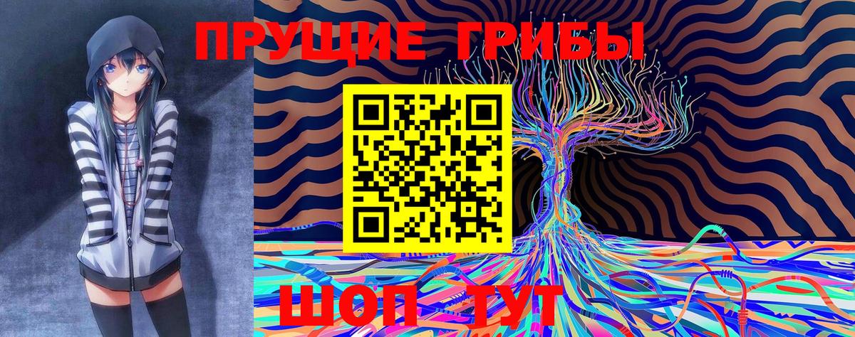Псилоцибиновые грибы Psilocybine cubensis Рубцовск