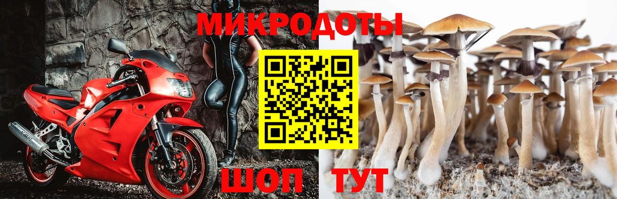 Рубцовск  Псилоцибиновые грибы Cubensis  Вход с VPN 