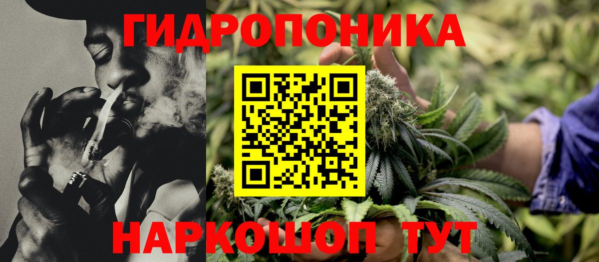 Бошки марихуана тримм  Вход с VPN  Рубцовск  Канабис OG Kush  Марихуана SATIVA & INDICA 